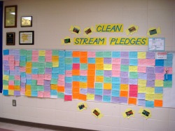 Clean Stream Pledge Wall